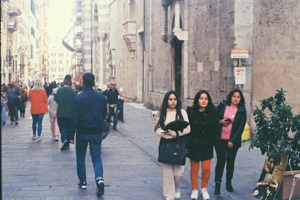 What Are the Essential Pet-Friendly Attractions in the UK?